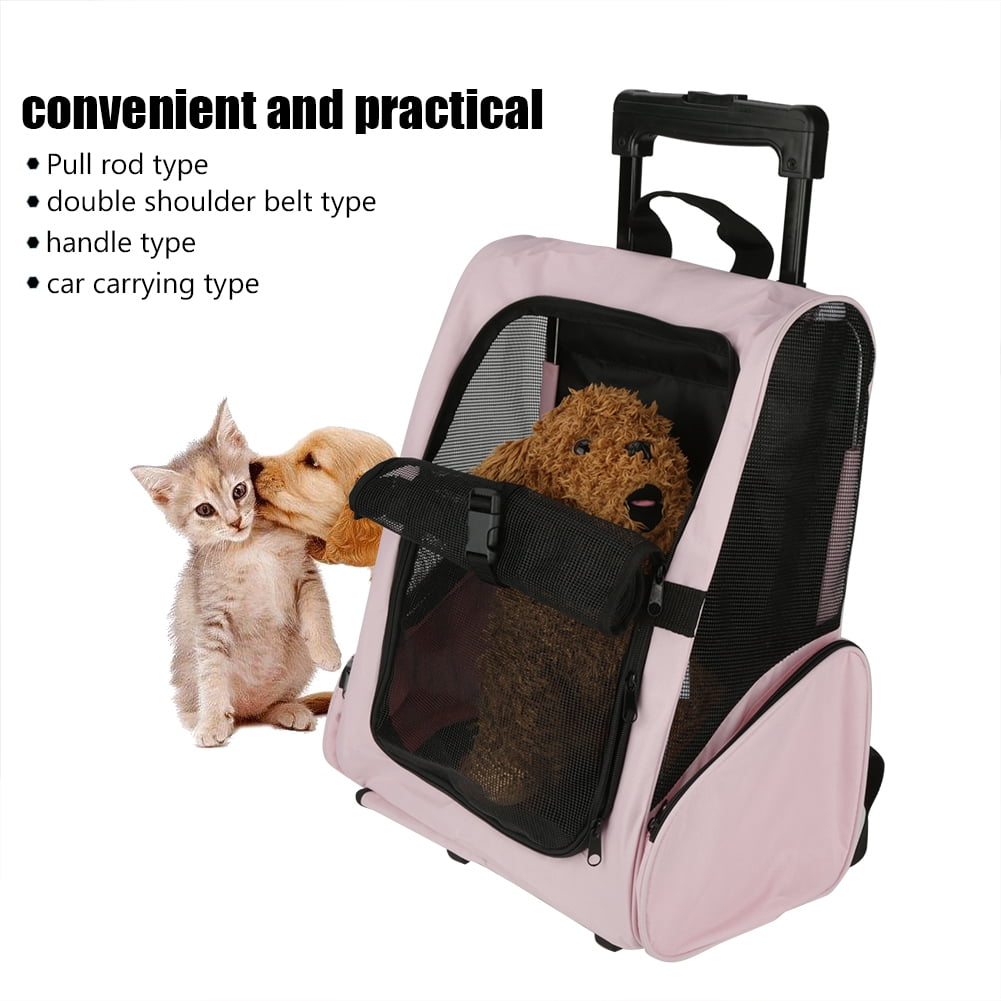 pet carry box