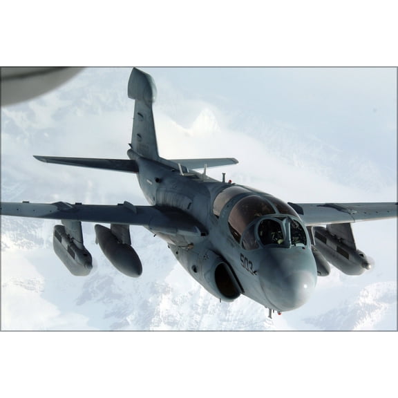24"x36" Gallery Poster, EA-6B Prowler assigned to VAQ 141
