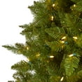 thumbnail image 3 of Nearly Natural 6.5' Vermont Spruce Christmas Tree with 450 Warm White LED Lights - Green, 3 of 10