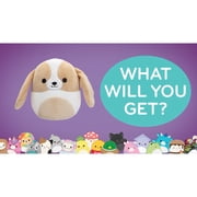 Squishmallows: Original 5 Plush Mystery Box - 5 Pack - Surprise Assorted Character Styles, Soft & Squishy, Stuffed Animals, Collectible Toy, Kids 3+