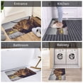 thumbnail image 3 of Yak (9) Front Door Mat, Indoor Mats for Bedroom Bathroom Kitchen, Floor Mat Non-Slip, Soft Carpet Floor Cover Machine Washable Entryway Mat - 20x31.5in, 3 of 5