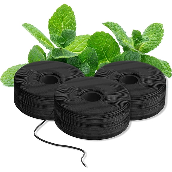 Expanding Dental Floss Refills (32 Yards/3 Pack) | Mint Eucalyptus Aroma Bobbins Woven Tooth Stain-Absorbing Vegan Paraben, BPA & Cruelty-Free Smart
