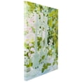 thumbnail image 3 of Northlight LED Lighted Flickering Clematis Garden Candles Canvas Wall Art - 15.75" x 11.75", 3 of 9