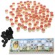 thumbnail image 3 of 1 Set Russian Lotto Set Family Game Wood Russian Lotto Game for Adults Russian Lotto Game Supplies, 3 of 4