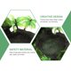thumbnail image 3 of BESTYASH De Para Reptiles Natural Resistente Para Terrarios Y Hogar, 3 of 6