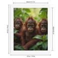 thumbnail image 2 of Paint By Numbers Kit for Adults Beginner - Orangutans Jungle Greenery DIY Canvas Painting Kits for Adults, Frameless Paint By Number for Adults for Home Wall Decor 16x20 Inch, 2 of 7