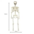 thumbnail image 5 of Life-Size Halloween Skeleton Decoration with Movable Joints - Realistic Hanging Skeleton Prop for Indoor Outdoor Scary Decor, 5 of 8