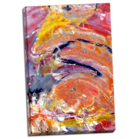 Gango Home Decor Silica Circus by Douglas Taylor (Ready to Hang); One 24x36in Hand-Stretched Canvas