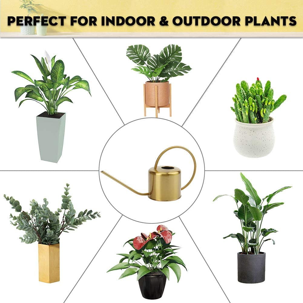 Watering Can Indoor Outdoor Stainless Steel Cans for House Plants Long Spout Water Succulent Bonsai Garden Flower(40oz/1300ml)