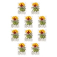 thumbnail image 1 of Toystoory Hojas secas naturales DIY Plantas artesanales en relieve Hojas prensadas Decoraciones verdes secas Regalos para tarjetas de boda Type1 NO1, 1 of 6