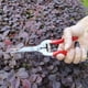 thumbnail image 4 of Dinheiro Tijeras de podar Cortador de árboles con Cuchillas de Acero Inoxidable Tijeras de floristería Tijeras de jardín Multifuncionales Podadora Manual para arreglar Flores podar Plantas Cosechar, 4 of 5