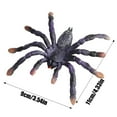 thumbnail image 2 of Realistic Giant Whiteknee Tarantula Spider Figure - Lifelike Insect Animal Figurine for Halloween Prank Props, Decoration, Educational Toy, 2 of 7
