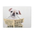 thumbnail image 2 of Cute Dog Reading Newspaper On Toilet Funny Canvas Wall Art for Home Decor Ready-to-Hand, 2 of 18