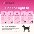 thumbnail image 5 of Pañales desechables para perras hembras HONEY CARE All-Absorb Small, 5 of 5