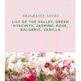 thumbnail image 5 of Aromatique Smell of Spring Scented Potpourri Bag 6oz  Long Lasting Decorative Home Fragrance, Room Air Freshener, Botanical Bowl Filler & Gift Dcor, 5 of 7