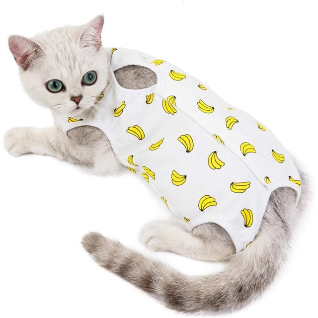 Traje de recuperación para gatos con heridas abdominales o enfermedades de la piel, para después de una cirugía, para evitar lamidos en las heridas, collar isabelino transpirable