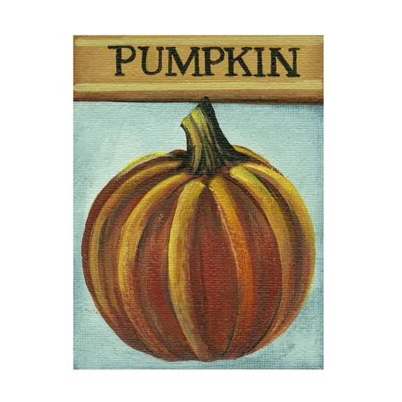 Canvas Wall Art - Debbi Wetzel 'Seed Packets 11 - Pumpkin' Wall Art for Living Room, Bedroom, or Office Décor by Trademark Fine Art - 14 x 19 Inches