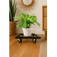 thumbnail image 5 of Base con Ruedas para Maceta de Metal Negro | Soporte Rodante 360° para Plantas, 5 of 9