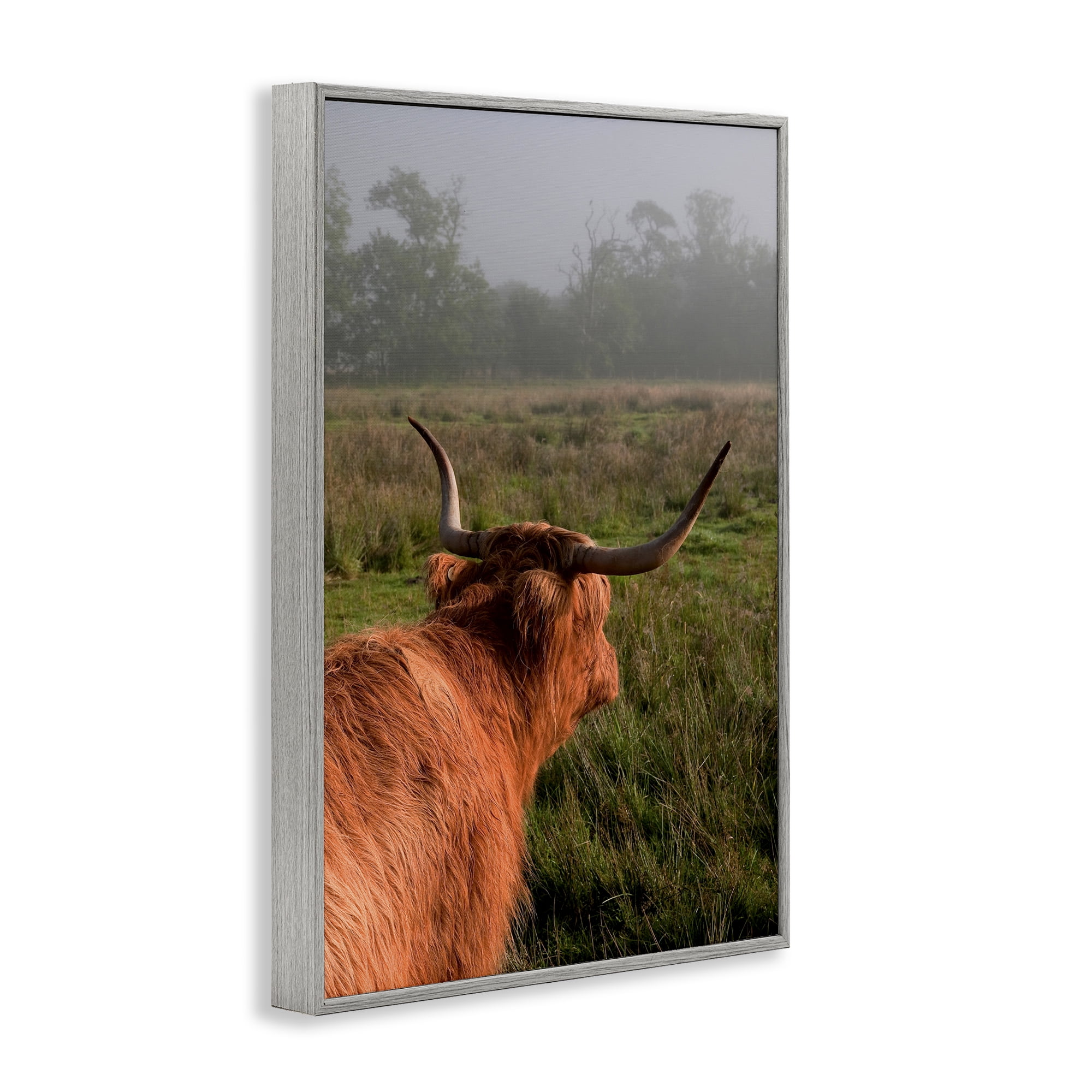 Highland Cow Gazing Out Gray Framed Giclee Art, design by Jenny Rainbow Fine Art