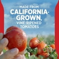 thumbnail image 4 of Hunt’s 100% Natural Tomato Ketchup, 20 oz Squeeze Bottle, 4 of 9