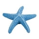 Aquarium Aquarium Parti Résine Crayon Doigt Étoile de Mer Décoration Ornement Bleu – image 1 sur 3