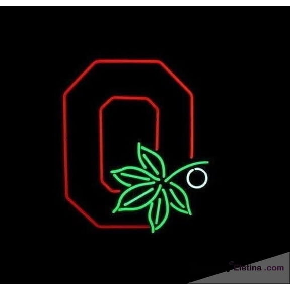 Neon Signs for Wall Decor " Vivid Ohio States Sports Team Buckeye Sign Light Lamp Cute Bright Aosblvn Neon Led Tubing16x20inch
