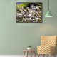 thumbnail image 5 of Wdftyju Kit de pintura de diamantes 5D, familia de lobos, taladro redondo completo, diamantes de imitación, manualidades de pared DIY Wdftyju 7dp0dw7tt4tw2hy5, 5 of 9