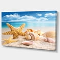 thumbnail image 2 of Starfish and Seashells on Beach - Seashore Photo Canvas Art Print, 2 of 3