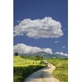 thumbnail image 2 of Flaherty, Dennis 17x24 White Modern Wood Framed Museum Art Print Titled - Italy, Tuscany Road leading to a villa, 2 of 4