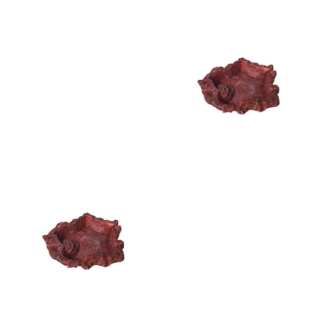 Cuenco De Comida Methold Para Animales Reptiles Antideslizante Universal
