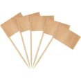 thumbnail image 1 of Yanonmyfd 200pcs World Cup Toothpick Flags Cake Toppers for World Cup Soccer 2026 Decorations, 48 Countries Cocktail Stick Flags for Sandwich Cupcake Toppers Soccer Bar Party Supplies,Kraft, 1 of 19