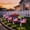 Multicolor, variant on 8 Pack Solar American Flag Lights Outdoor,4th of July Decorations Outdoor,Waterproof Solar Flag Patriotic Lights for Yard,Garden,Pathway,Independence Day,250th Anniversary (Red White and Blue)