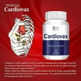 ANC Natural Cardiovax with Coenzyme Q10, Arjuna Extract Moringa Extract