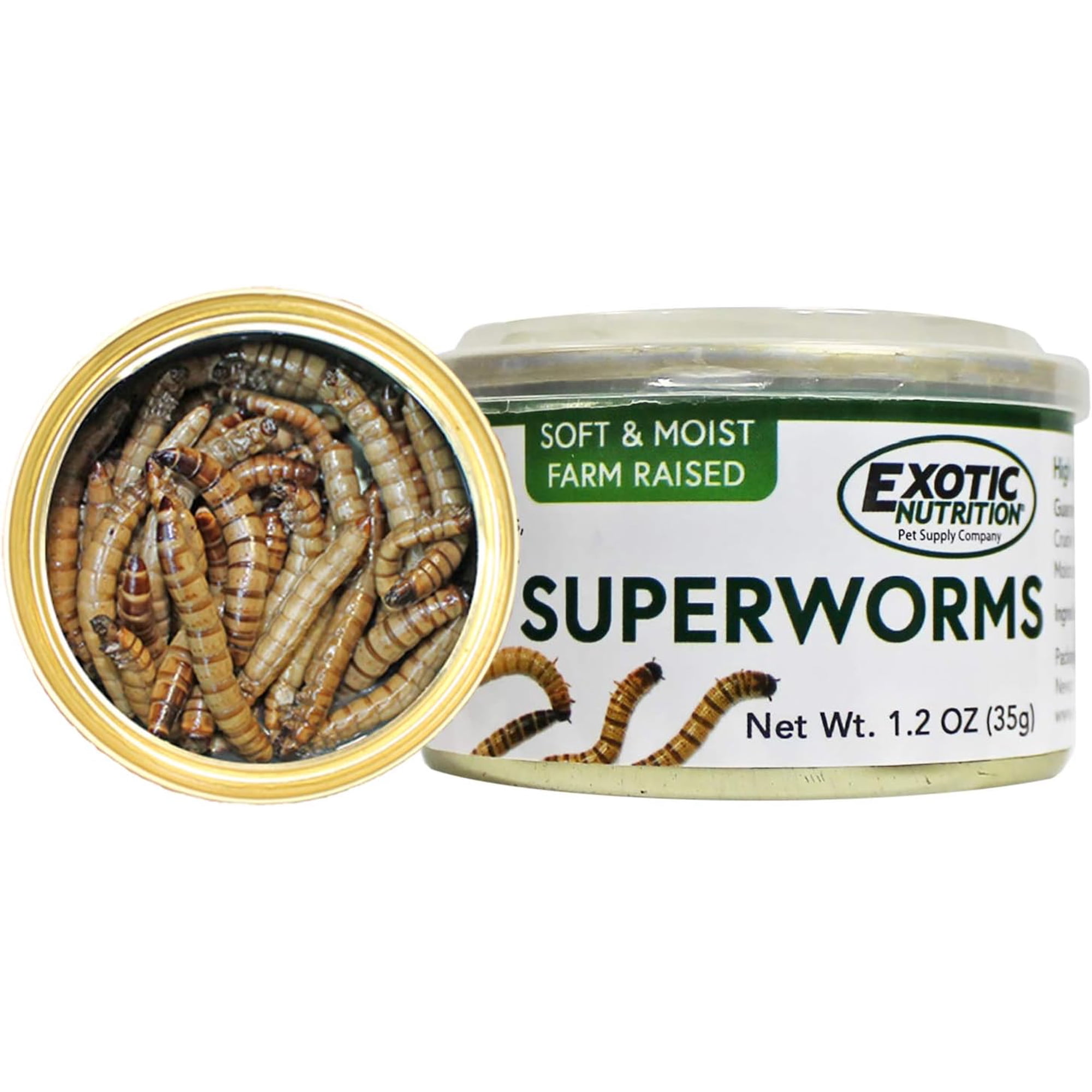 Canned Superworms
