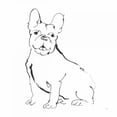 thumbnail image 3 of Paschke, Chris 12x12 Black Modern Framed Museum Art Print Titled - Line Dog French Bulldog II, 3 of 5