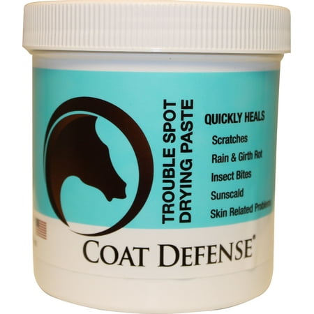 UPC: 0793597086501 | Coat Defense-Trouble Spot Drying Paste 24 Oz