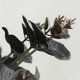 thumbnail image 5 of 20 cabezas artificiales de eucalipto negro decoración de boda de flores falsas Afortunado Sencillez, 5 of 5