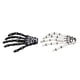 thumbnail image 4 of Hands de esqueleto clips de cabello Huese, Garras Skull Hand Pein Club, 4 of 7