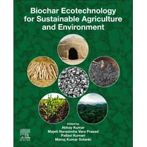 Biochar Ecotechnology for Sustainable Agriculture and Environment, (Paperback)