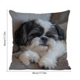 thumbnail image 3 of HCBY Modern Faux Embroidery Pillow Case, Dog Pattern Decorative Throw Cover 17.7x17.7 Inches, Textured Polyester Cushion Cover for Contemporary Living Room Sofa Decor, Easy Care, 3 of 6