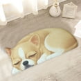 thumbnail image 5 of Hgallory Cute Dog Polyester Shower Bath Rug for Home Bathroom Toilet, Non-Slip Household Water Absorbent Quick Drying Floor Mats for Entrance Bedroom, Modern Home Decor, 1PC, 16"x34", A, 5 of 6