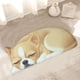 thumbnail image 5 of Alfombras de baño, alfombra 3D con temática de perro, felpudo de bienvenida de 87 x 40 cm, antideslizante, para verano, divertidas y novedosas, para decoración de interiores y exteriores., 5 of 6