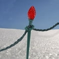 thumbnail image 2 of Dyno Holiday Light Stake Plastic 1 pc, 2 of 3