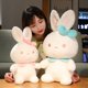 thumbnail image 1 of Cute / Soft / Rabbit Plush Toy / Mink Rabbit Doll with Hair Card / Children's Birthday Gift / Christmas Gift zhangmengya LED, 1 of 2