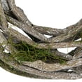 thumbnail image 5 of Northlight 8" White Twig and Green Moss Artificial Spring Wreath, 5 of 6