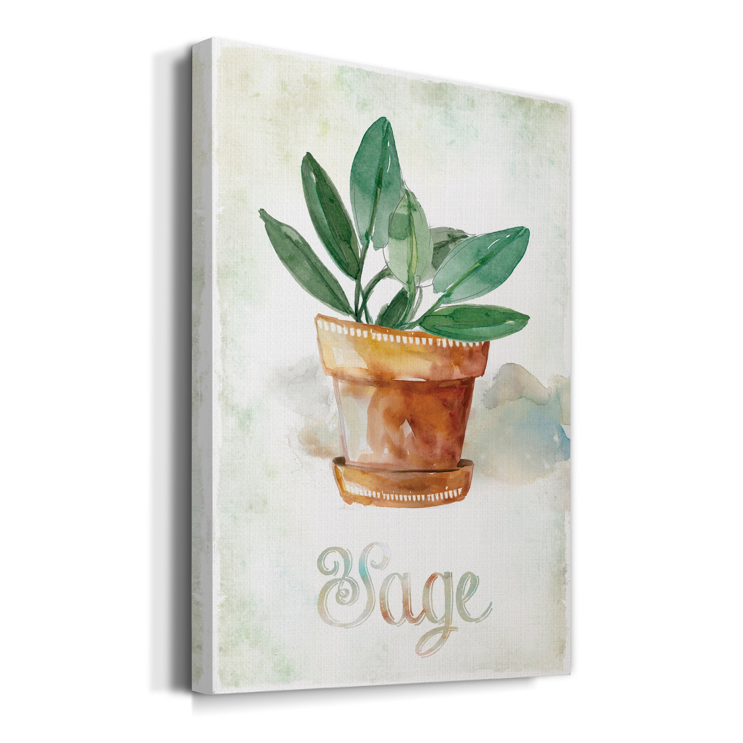 Potted Sage Premium Gallery Wrapped Canvas - Ready to Hang - 40 x 60