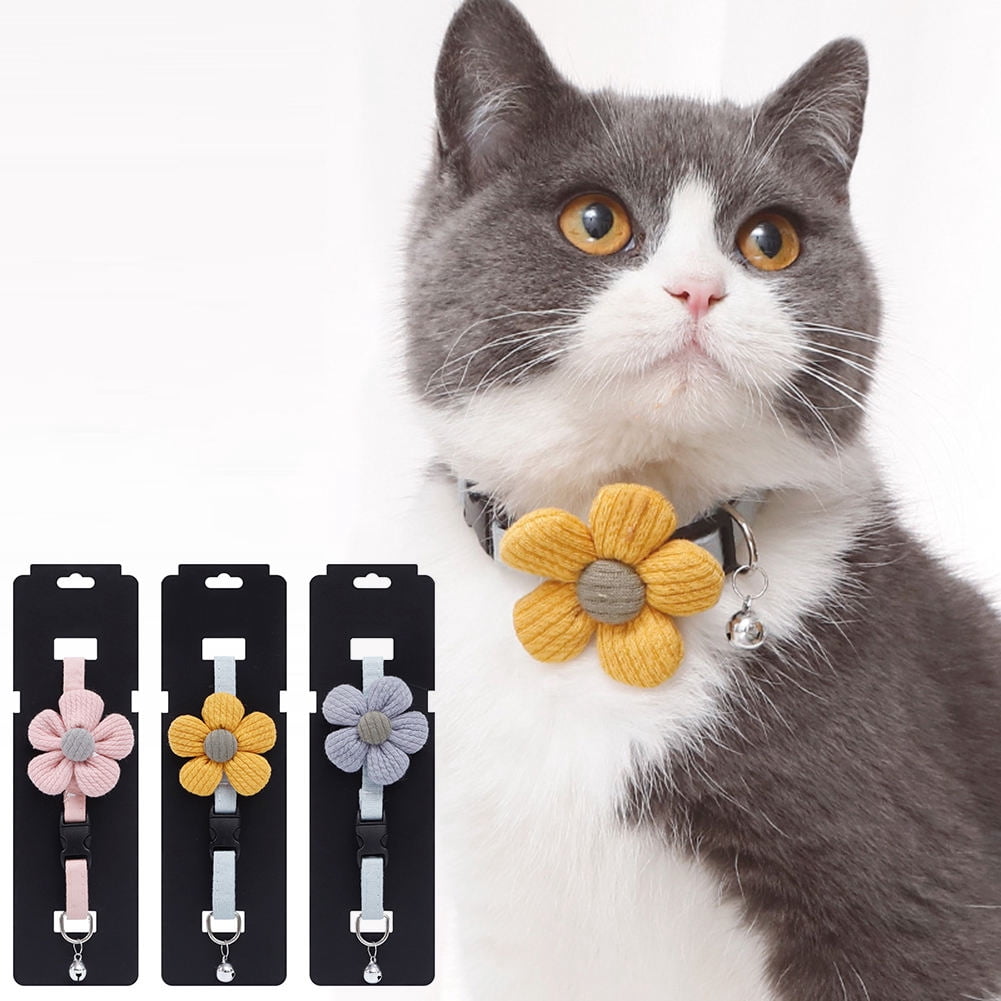 kitten flower collar