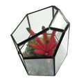 thumbnail image 3 of Geometric Fleshy Glass Flower House Crafts Greenhouse DIY Flower Decoration, 3 of 6