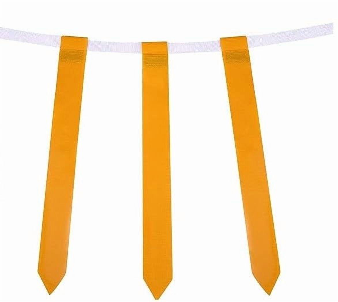 Biggz Flag Football Starter Kit - 48 Belts with (2) Junior Size Footballs and (2) Pumps + Bonus 25 Cones