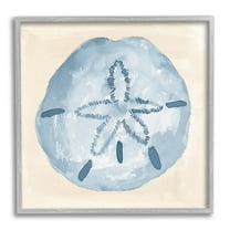 Casual Sand Dollar Beach Life Animals & Insects Graphic Art Gray Framed Art Print Wall Art